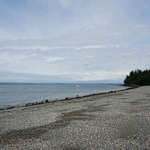 The beach