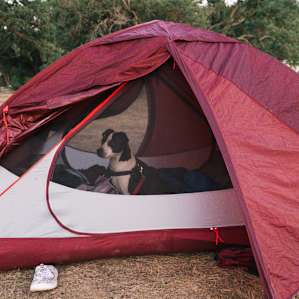 Very expert camper!
