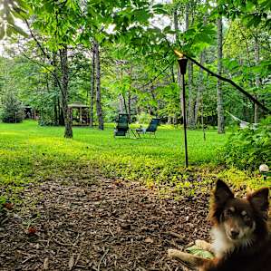 Creekside Cottage
