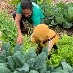 Herb and Flower Farm Retreat