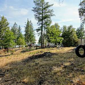 Shady Oak Car Camping (Site 4)
