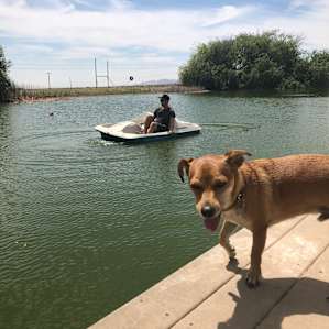 Camp Tule Elk Campsites