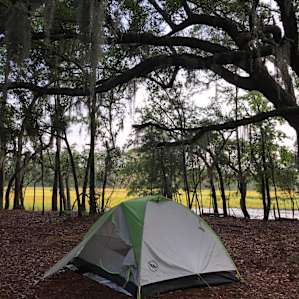 Hanscombe Point Plantation