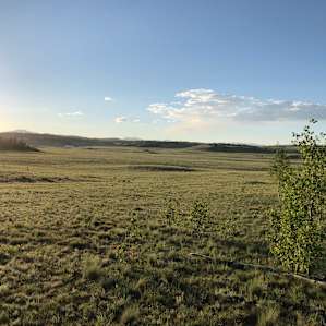 Clearing in the Aspen