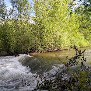 Camp Eldorado | Gunnison River