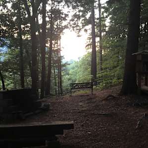 Tiny Cabin | Glamping + hot tub