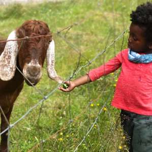 Friendly neighbors