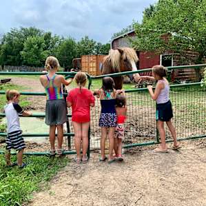 Our kids are still talking about the beautiful horses.