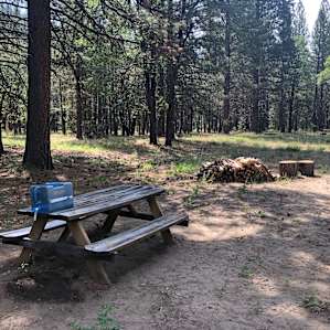 Picnic table, drinking water, and firewood available at the site.