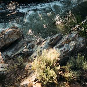 The West Walker River.