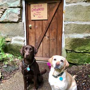 We were able to set up their crates and feel secure leaving them in the building when we went to town.