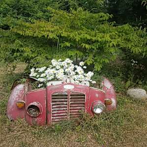 Garden art to enjoy on the property.