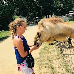 Animal Ed.ventures Sanctuary