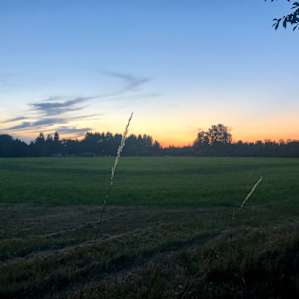 Summer on a farm #2