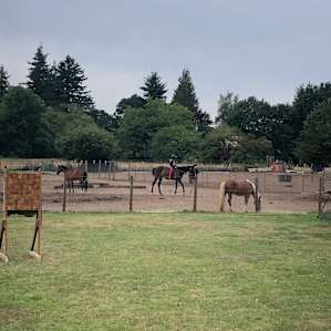 Summer on a farm #2