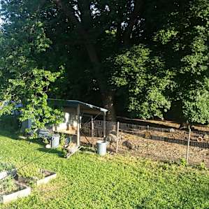 Secluded Urban Farm