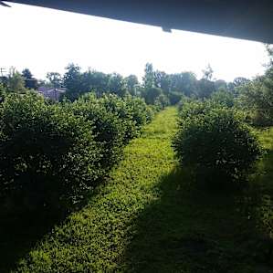 Secluded Urban Farm