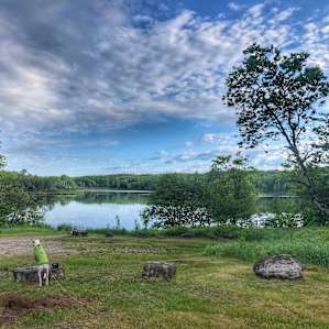 Cookson Lake Dispersed Campground