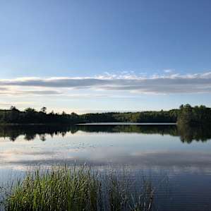 Cookson Lake Dispersed Campground