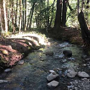Albee Creek