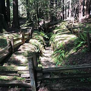 Albee Creek Campground