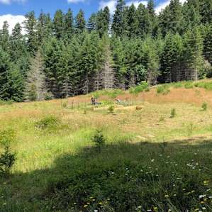Lucky Stars Retreat Glamping Tent