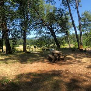 Campsite