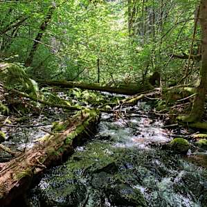 On one of the trails