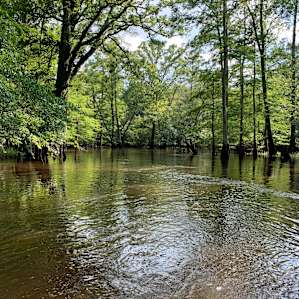Gorgeous clear Blackwater River