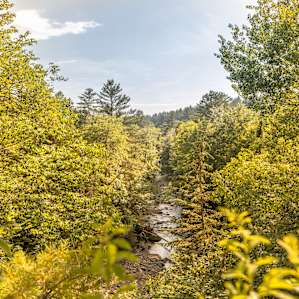 View of the river from right next to the site