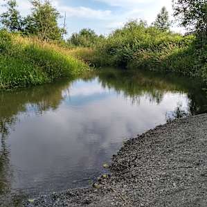 Photo of Coriander Creek - Northfield - Corriander Creek Farm (7)