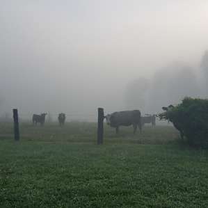 The Blue Horn Farmstay Getaway