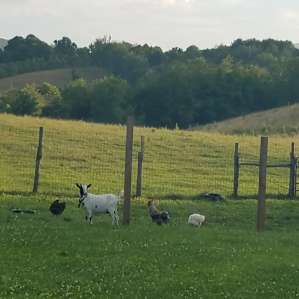 The Blue Horn Farmstay Getaway