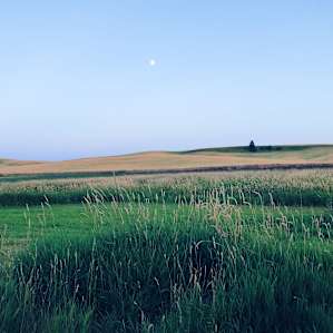 evening at the farm