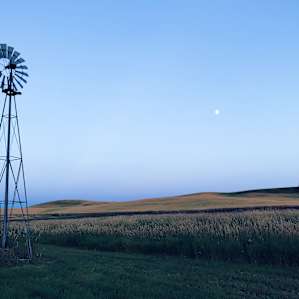 evening at the farm