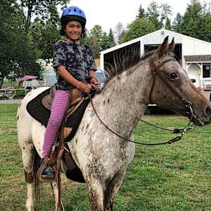 Horse Lovers Paradise - Hillside