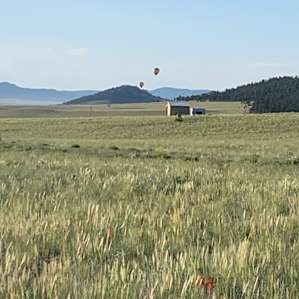 Hot air balloons in the distance