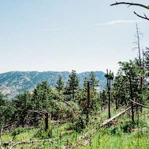 Views on the way hiking their 50 acres of land