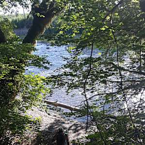 Short hike to the river
