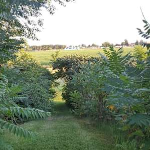 The grass paths are very lovely and make each camp space its own space.