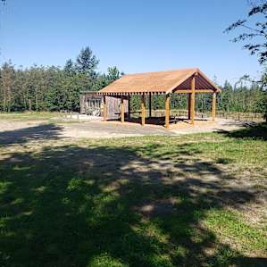 Layton Hill Horse Camp!
