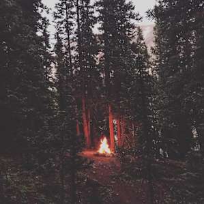 Fire pit