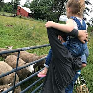 Exploring the farm.