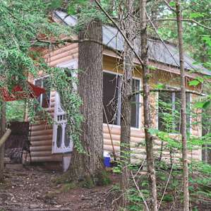 Tiny Cabin by the Beach