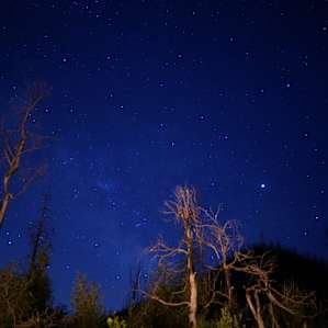 A view of the night sky from our campsite