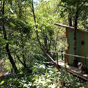 CedarSong Sanctuary Cabin on a pond