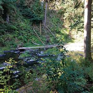 Secluded creekfront, wooded lot.