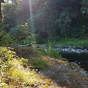 Secluded creekfront, wooded lot.