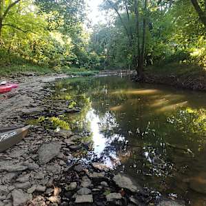 Little Wing Hollow's Frisbee Field