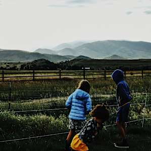 Camp Chicory in Paradise Valley